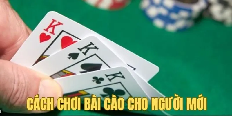 Chi tiết cách chơi bài cào mà người mới nào cũng quan tâm