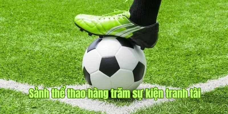 Sảnh thể thao đặc biệt hấp dẫn với hàng trăm sự kiện tranh tài 