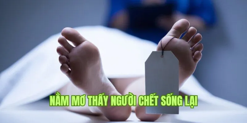 Điềm báo nguy hiểm sắp đến khi nằm mơ thấy người chết sống lại